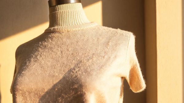 Découvrez les avantages du t-shirt en laine mérinos féminin